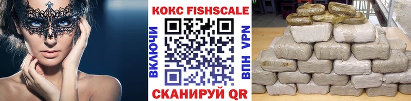 наркота  Анива  COCAIN Fish Scale 