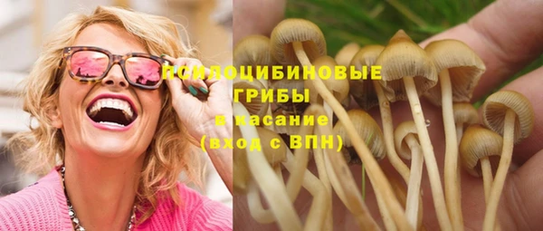 эйфоретик Алексеевка