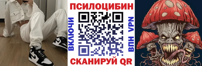 наркота  Анива  Псилоцибиновые грибы мицелий 